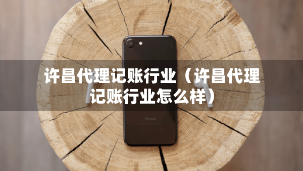 许昌代理记账行业（许昌代理记账行业怎么样）