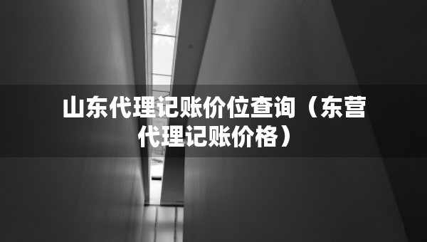 山东代理记账价位查询（东营代理记账价格）