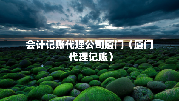 会计记账代理公司厦门（厦门 代理记账）