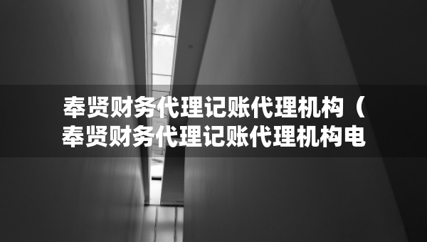 奉贤财务代理记账代理机构（奉贤财务代理记账代理机构电话）