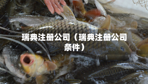 瑞典注册公司（瑞典注册公司条件）