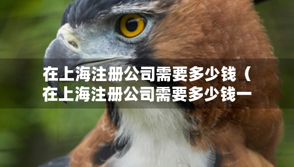 在上海注册公司需要多少钱（在上海注册公司需要多少钱一个月）