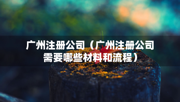 广州注册公司（广州注册公司需要哪些材料和流程）