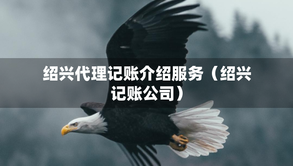 绍兴代理记账介绍服务（绍兴记账公司）