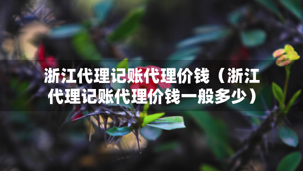 浙江代理记账代理价钱（浙江代理记账代理价钱一般多少）