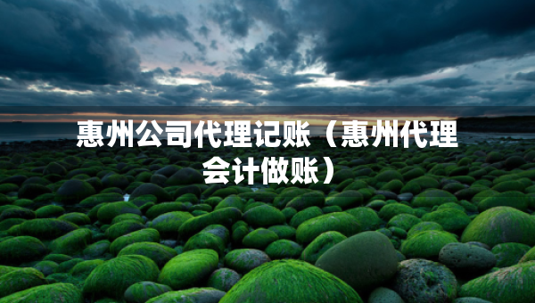 惠州公司代理记账（惠州代理会计做账）