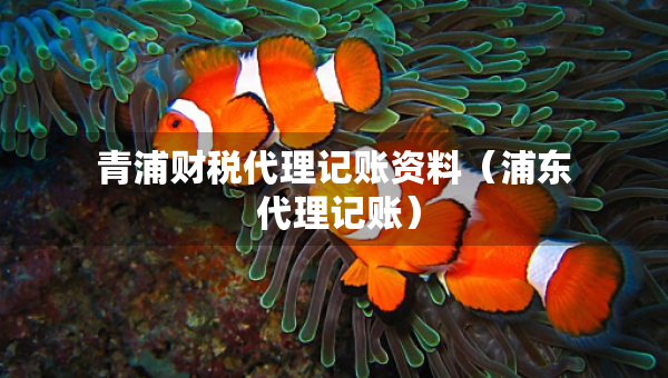 青浦财税代理记账资料（浦东 代理记账）