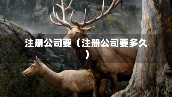 注册公司要（注册公司要多久）