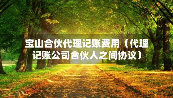 宝山合伙代理记账费用（代理记账公司合伙人之间协议）