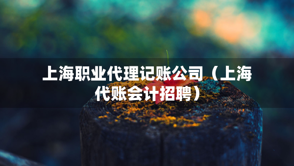 上海职业代理记账公司（上海代账会计招聘）