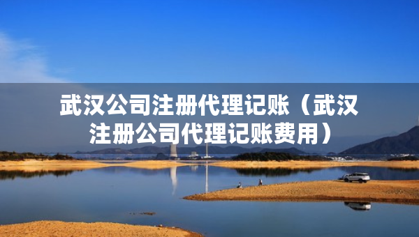 武汉公司注册代理记账（武汉注册公司代理记账费用）