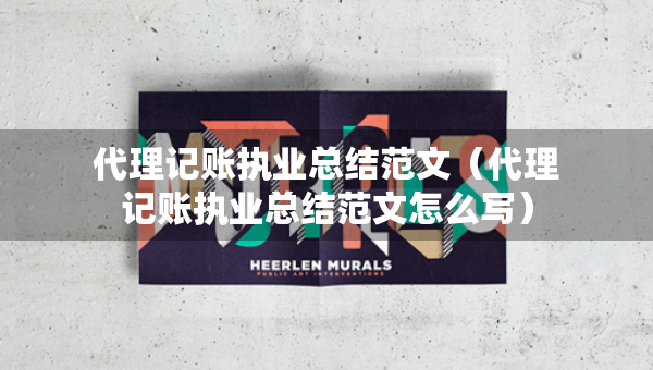 代理记账执业总结范文（代理记账执业总结范文怎么写）