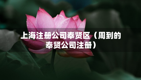 上海注册公司奉贤区（周到的奉贤公司注册）