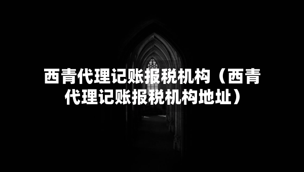 西青代理记账报税机构（西青代理记账报税机构地址）