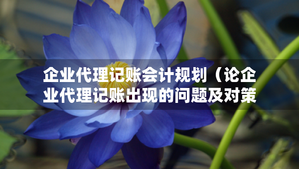 企业代理记账会计规划（论企业代理记账出现的问题及对策研究）