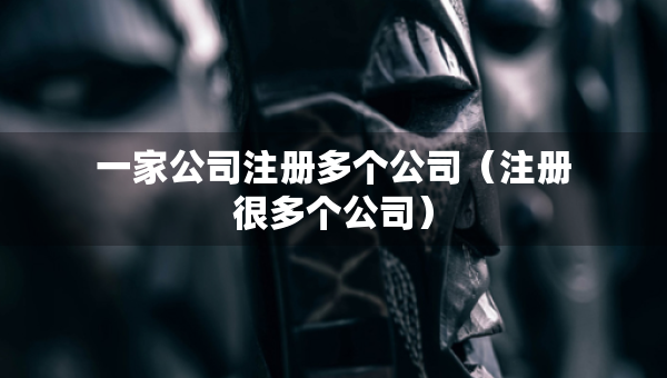 一家公司注册多个公司（注册很多个公司）