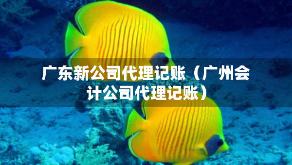 广东新公司代理记账（广州会计公司代理记账）