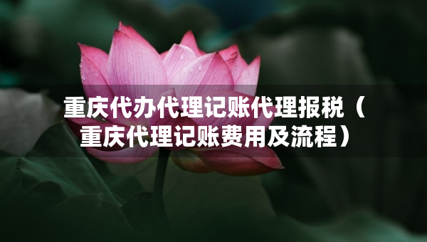 重庆代办代理记账代理报税（重庆代理记账费用及流程）