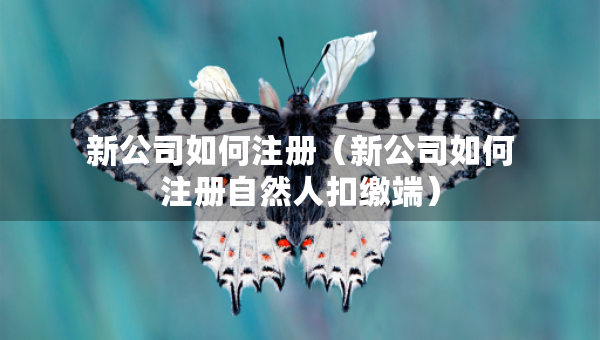 新公司如何注册（新公司如何注册自然人扣缴端）