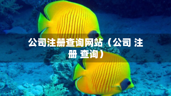 公司注册查询网站（公司 注册 查询）