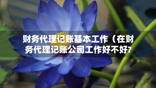 财务代理记账基本工作（在财务代理记账公司工作好不好?）