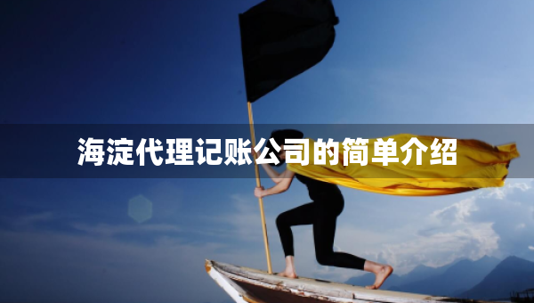 海淀代理记账公司的简单介绍
