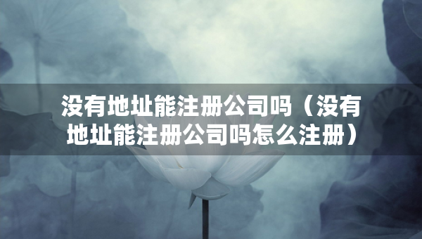 没有地址能注册公司吗（没有地址能注册公司吗怎么注册）