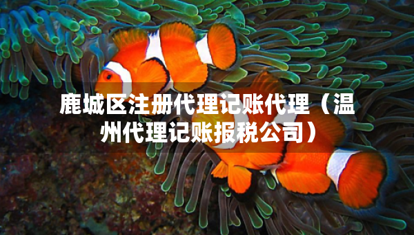鹿城区注册代理记账代理（温州代理记账报税公司）