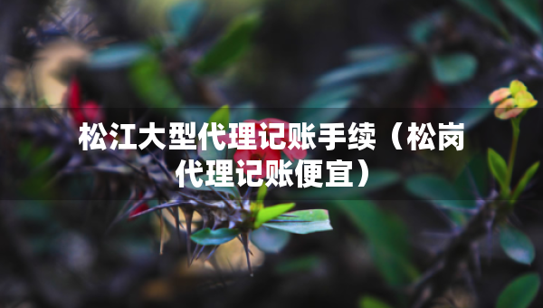 松江大型代理记账手续（松岗代理记账便宜）