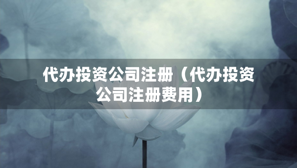 代办投资公司注册（代办投资公司注册费用）