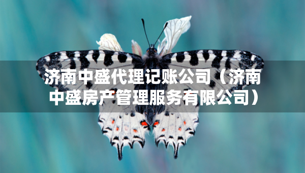 济南中盛代理记账公司（济南中盛房产管理服务有限公司）