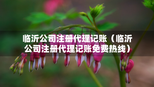 临沂公司注册代理记账（临沂公司注册代理记账免费热线）