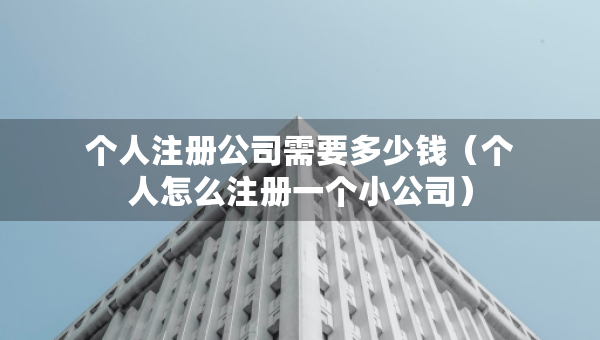 个人注册公司需要多少钱（个人怎么注册一个小公司）
