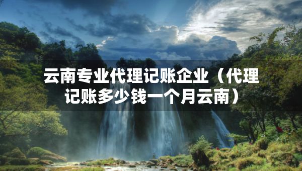 云南专业代理记账企业（代理记账多少钱一个月云南）