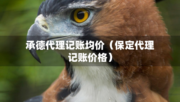 承德代理记账均价（保定代理记账价格）