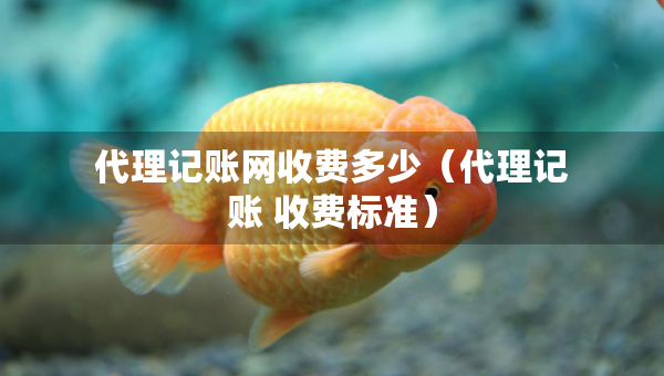 代理记账网收费多少（代理记账 收费标准）