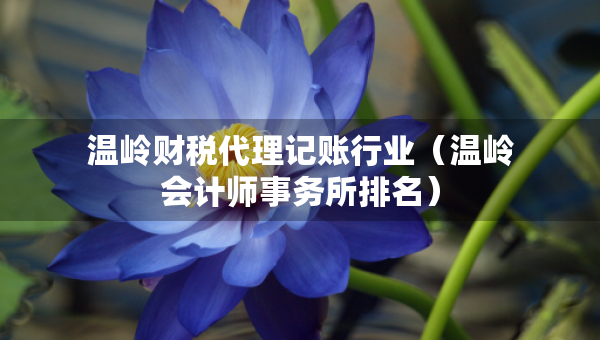 温岭财税代理记账行业（温岭会计师事务所排名）