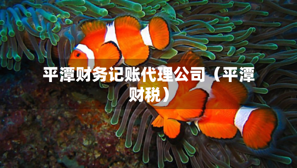 平潭财务记账代理公司（平潭财税）