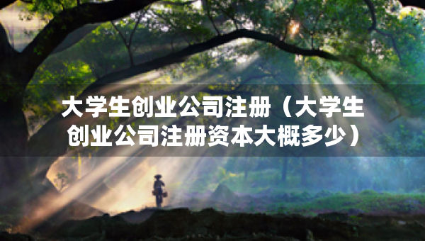 大学生创业公司注册（大学生创业公司注册资本大概多少）