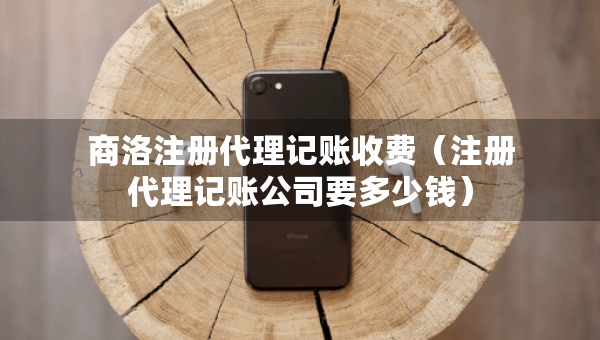 商洛注册代理记账收费（注册代理记账公司要多少钱）