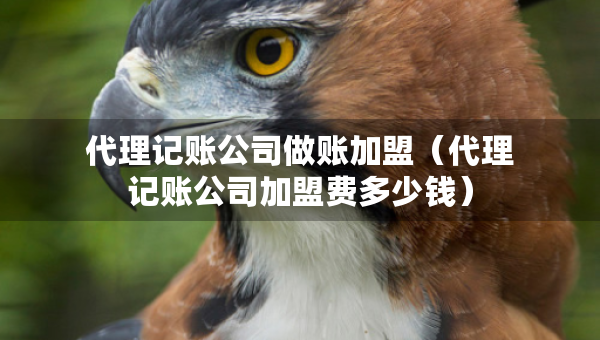代理记账公司做账加盟（代理记账公司加盟费多少钱）
