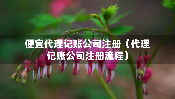 便宜代理记账公司注册（代理记账公司注册流程）