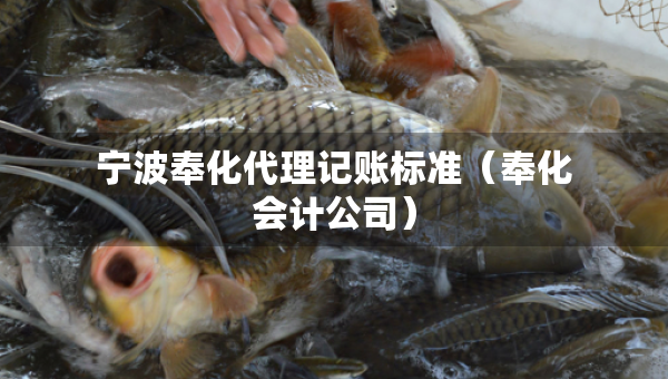 宁波奉化代理记账标准（奉化会计公司）