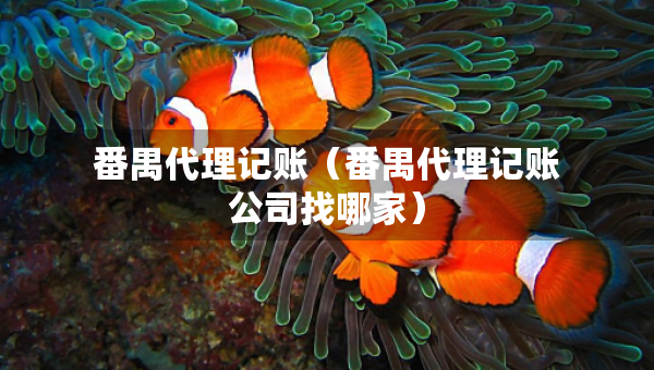 番禺代理记账（番禺代理记账公司找哪家）