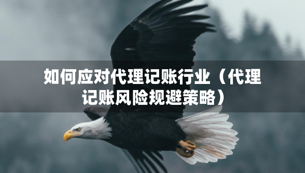如何应对代理记账行业（代理记账风险规避策略）