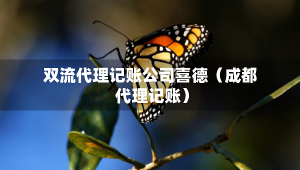 双流代理记账公司喜德（成都 代理记账）