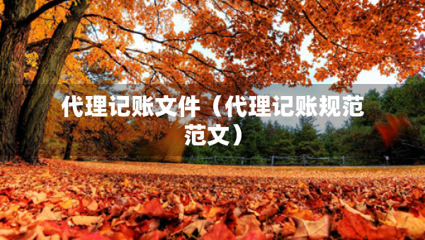 代理记账文件（代理记账规范范文）