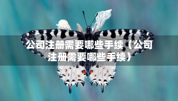 公司注册需要哪些手续（公司注册需要哪些手续）