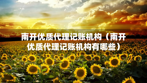 南开优质代理记账机构（南开优质代理记账机构有哪些）