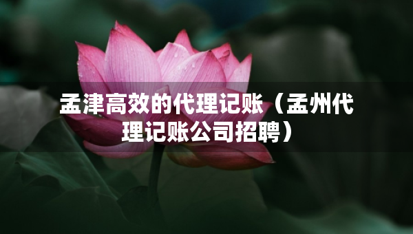 孟津高效的代理记账（孟州代理记账公司招聘）